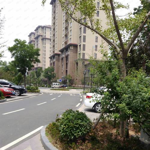 鑫江水青花园烂尾楼
