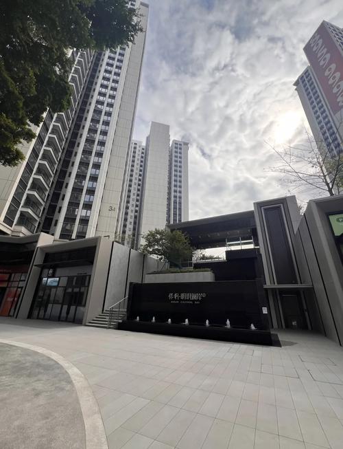 深圳坪山新楼盘房价