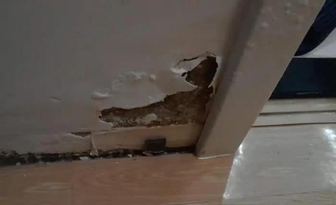 租房子墙反潮怎么处理