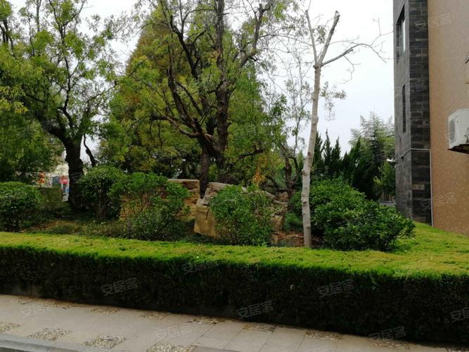 临沂美澳花园能买吗
