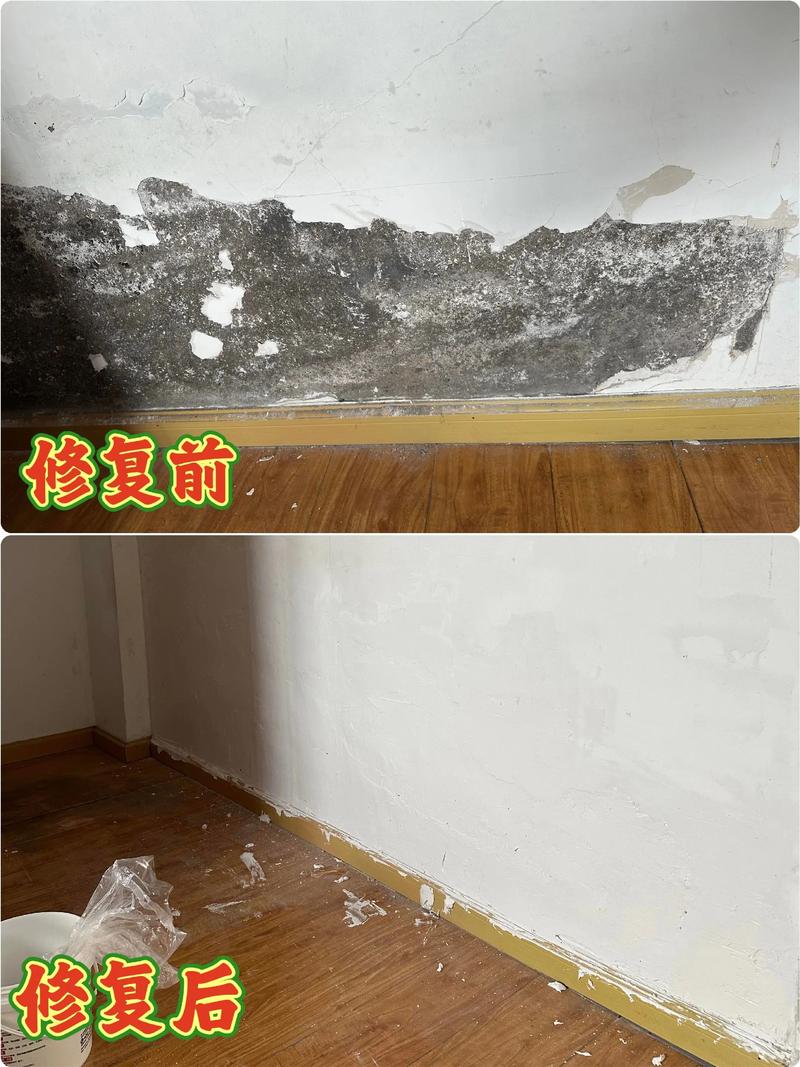 租房子墙皮掉了怎么办