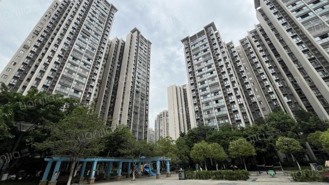 新怡花园b区详细地址