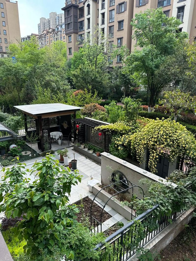 花园洋房一楼院子图