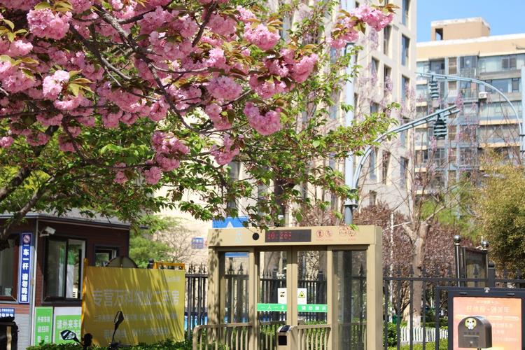 大连万科城市花园在哪