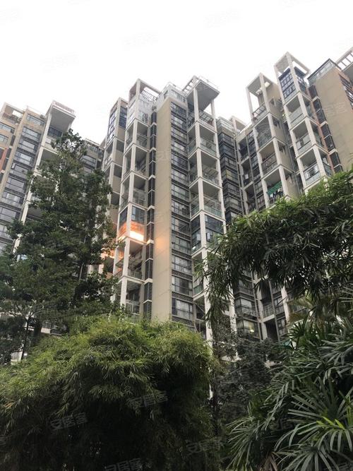 香雅园房价