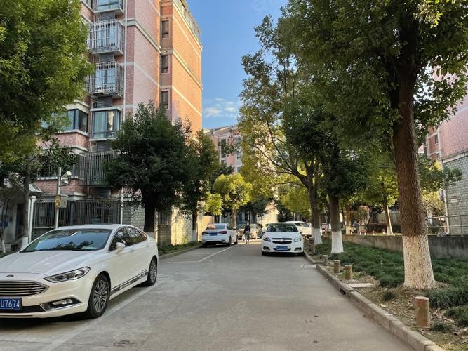 天馨花园属于什么街道