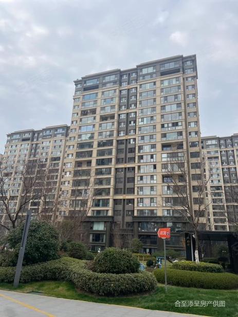 新城金樾房价
