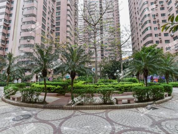 深圳龙珠花园怎么样