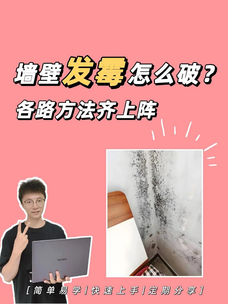 出租房墙壁发霉怎么办