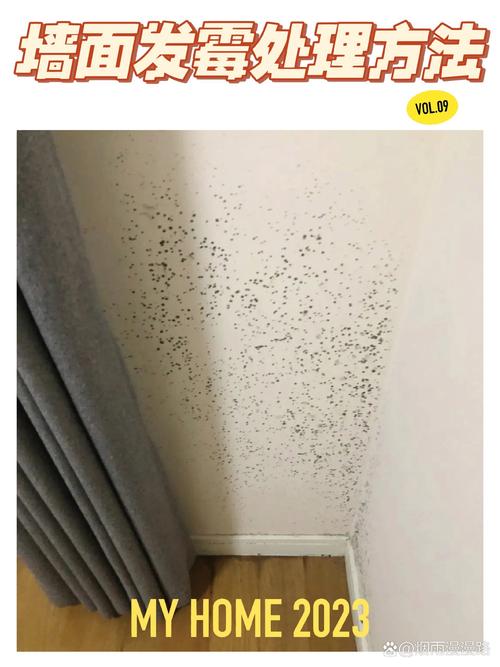 出租房墙壁发霉怎么办