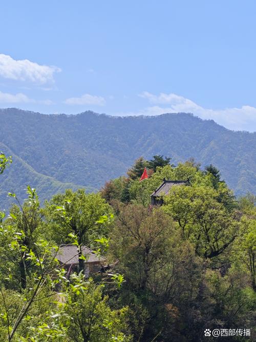首阳山楼盘