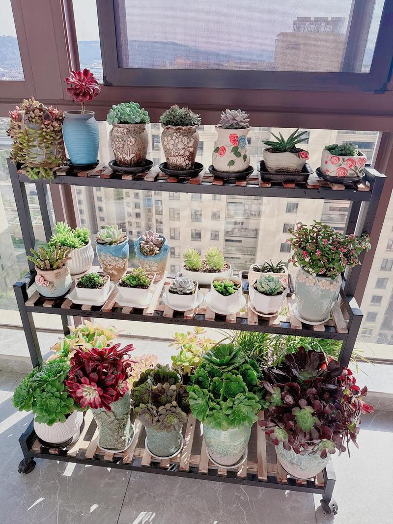 小阳台花园实景图片