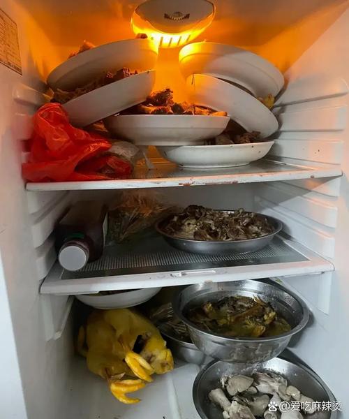 出租房没冰箱怎么带菜