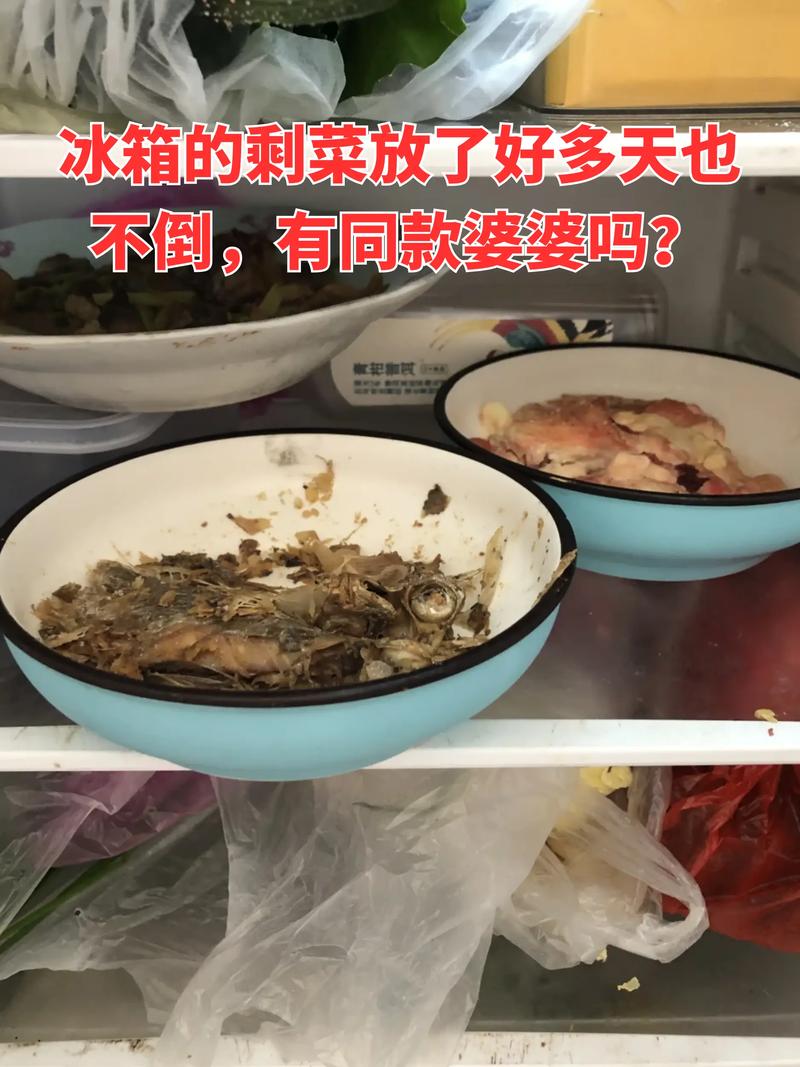 出租房没冰箱怎么带菜