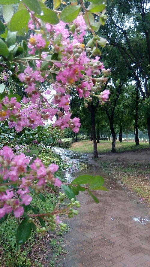 淮北现代花园小学好吗