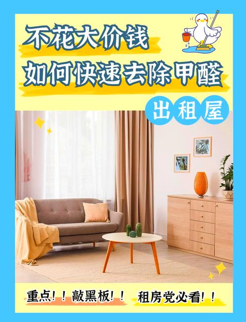 出租房空气不好怎么办