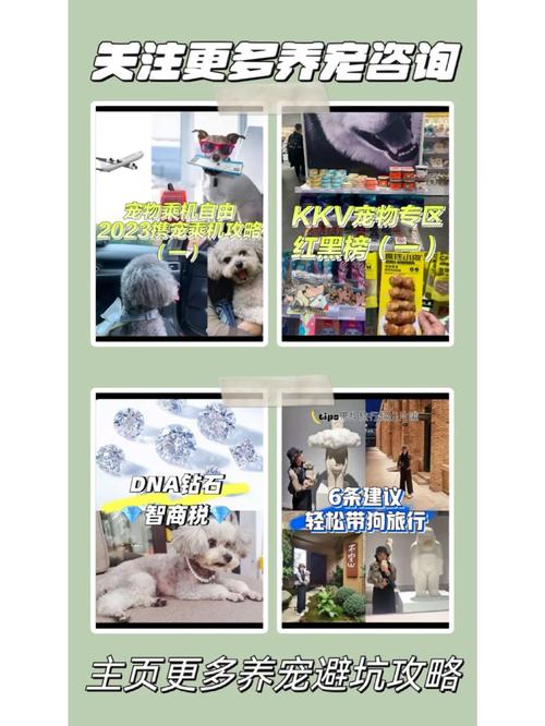 租房养狗跟房东怎么说