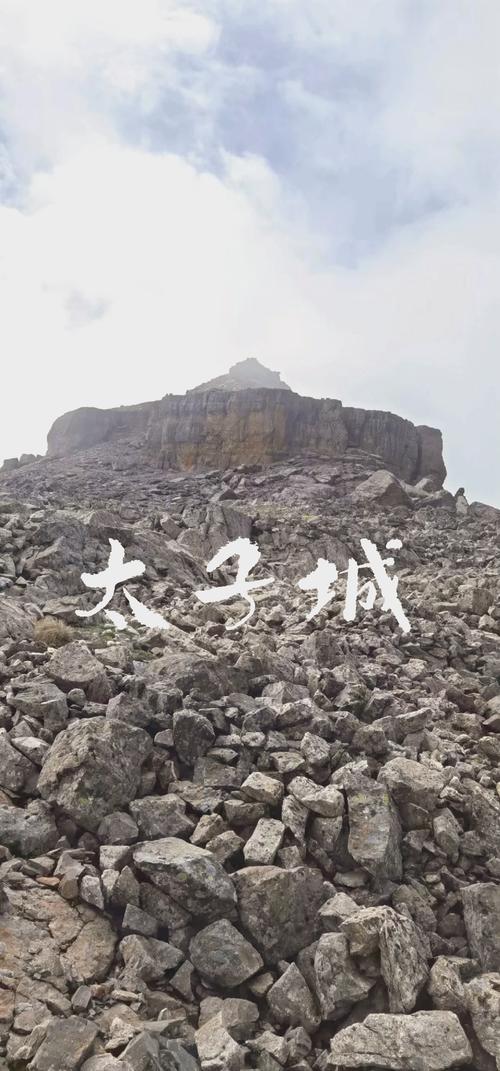 太子城房价