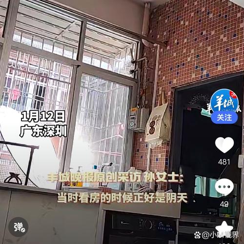 租房子采光不好怎么办