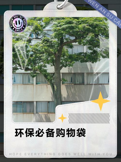 楼盘环保袋