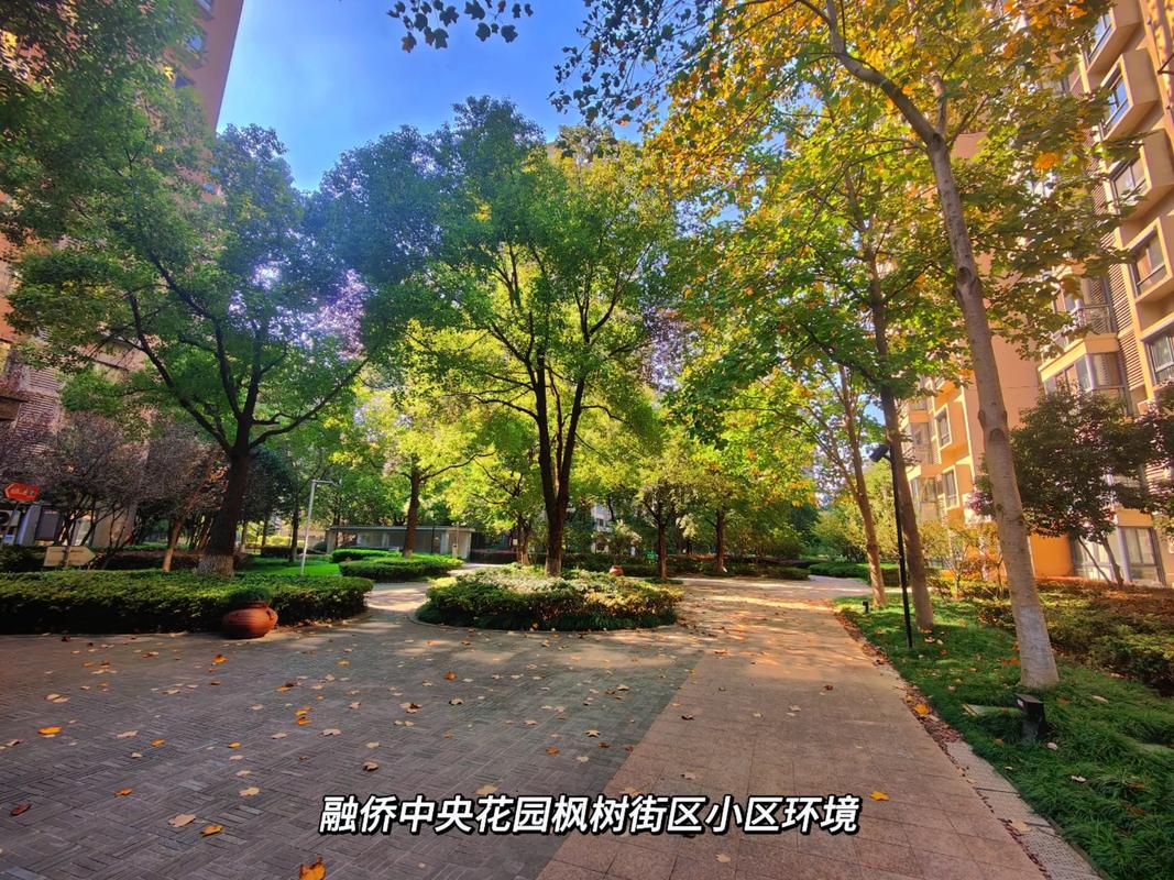 融侨中央花园3期