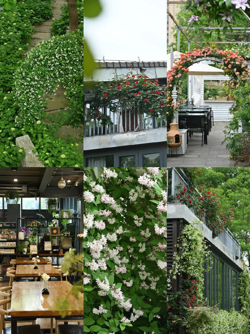 花园主题餐厅效果图