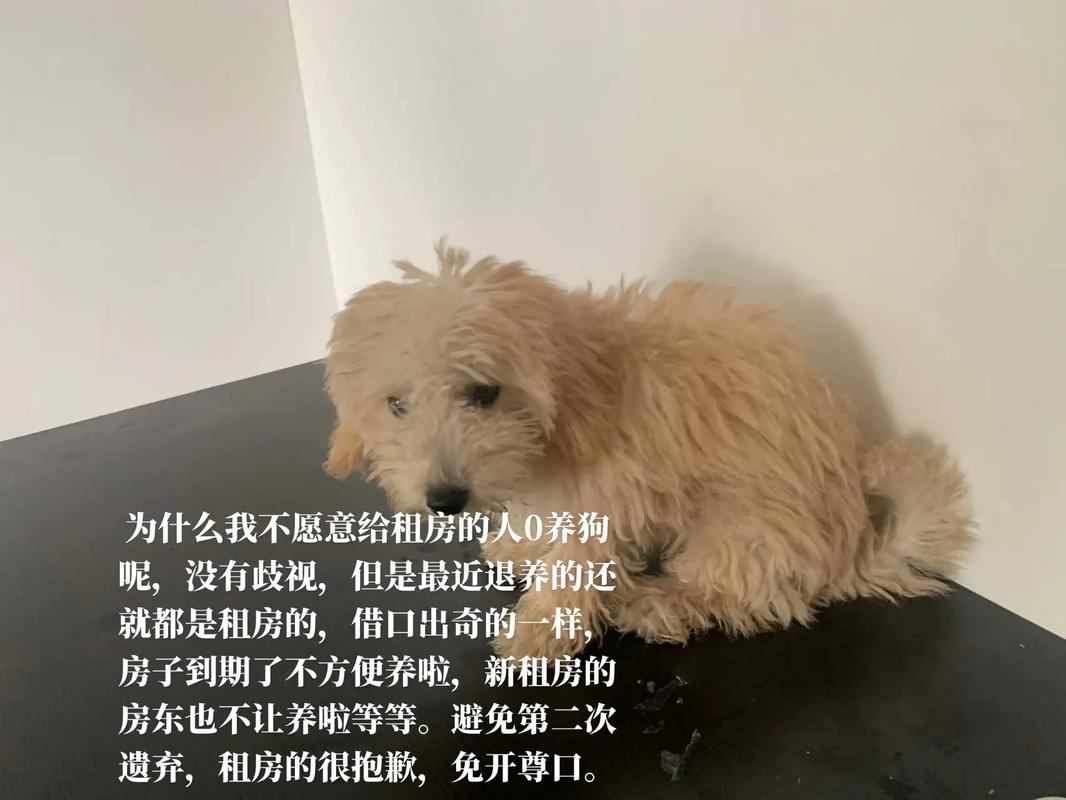 租房不可以养狗怎么写