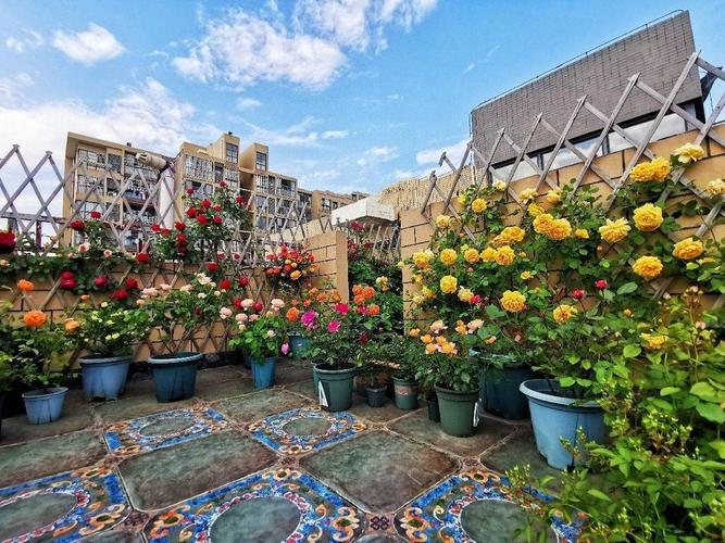 50平米花园设计实景