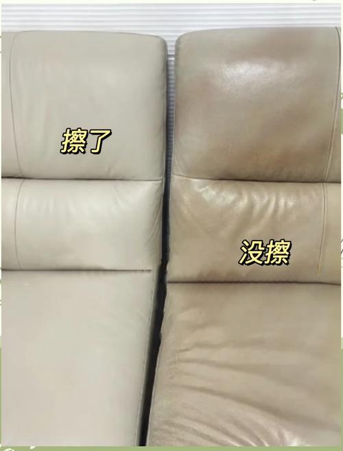 出租房沙发脏怎么办