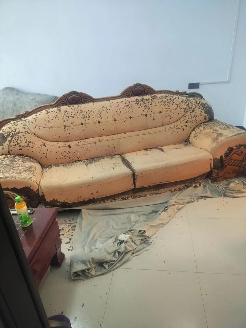 出租房沙发脏怎么办