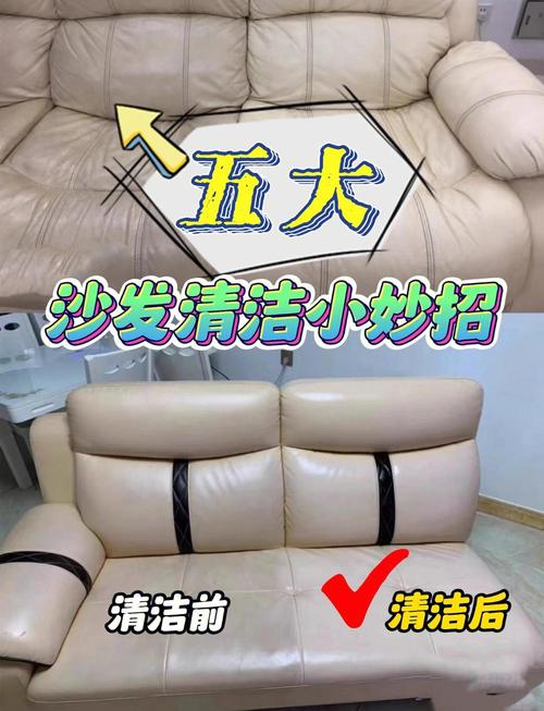 出租房沙发脏怎么办