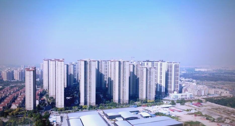 阳江最好楼盘
