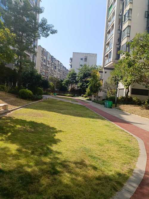 革新路楼盘
