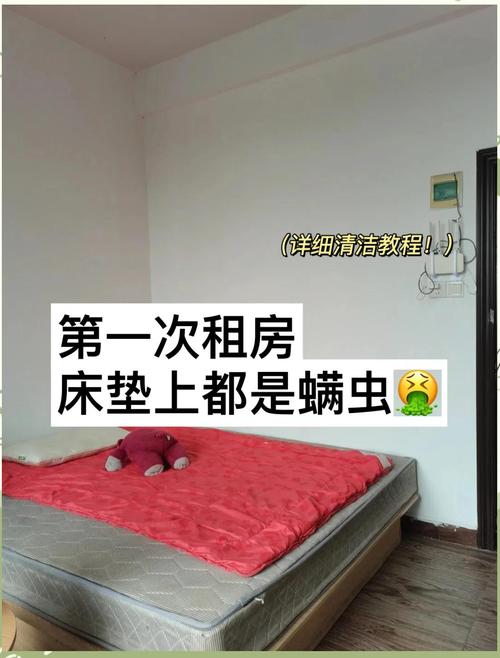 租房觉得床垫脏怎么办