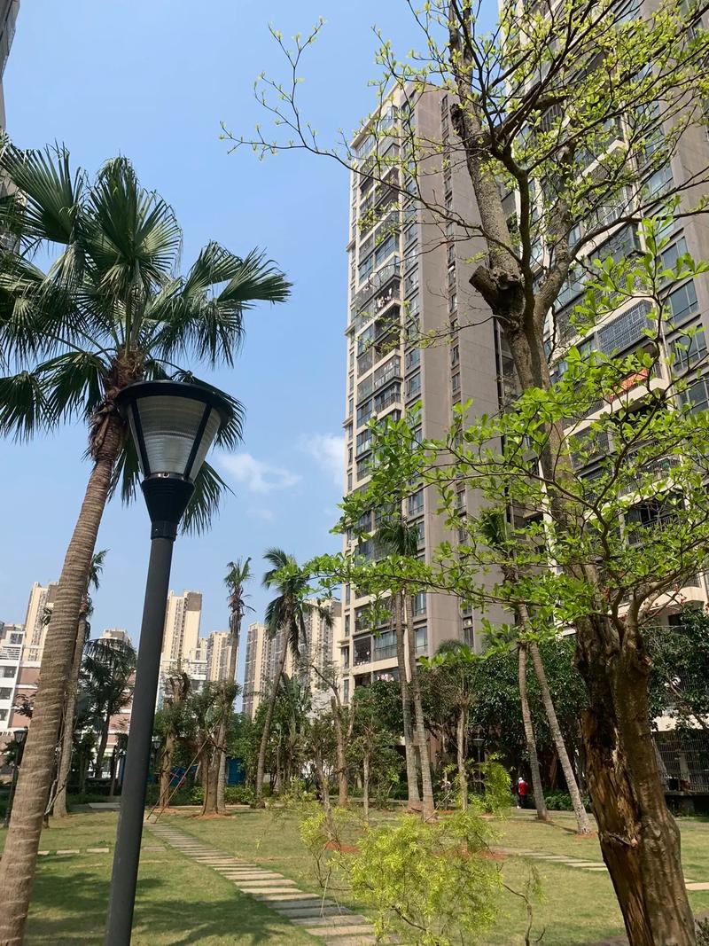 海口热销楼盘