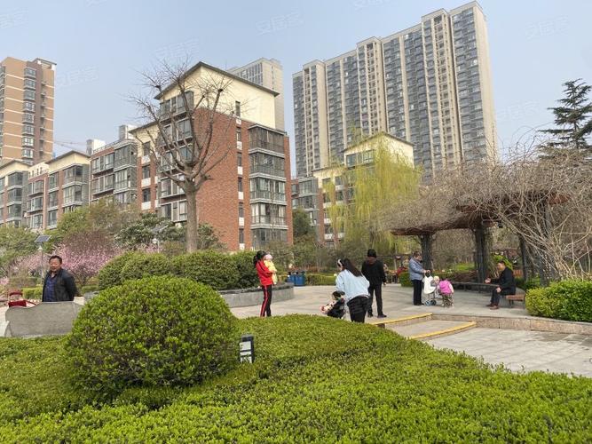 金山东方花园南园价格