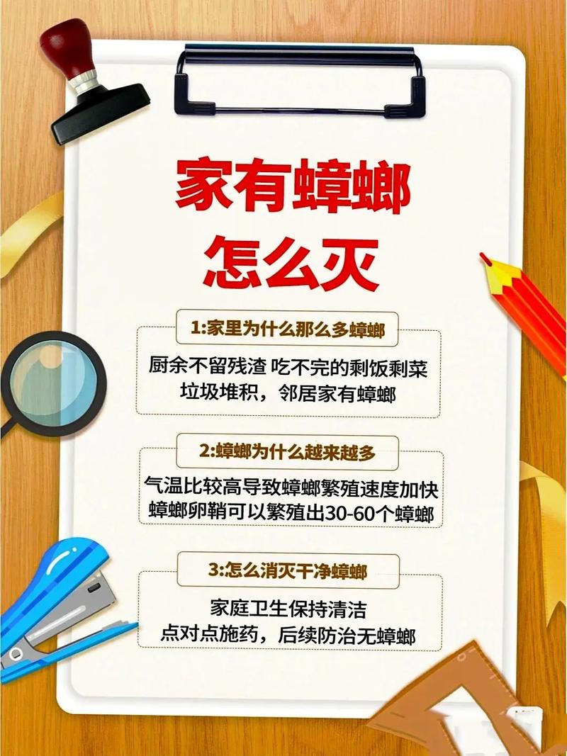 出租房蟑螂怎么办