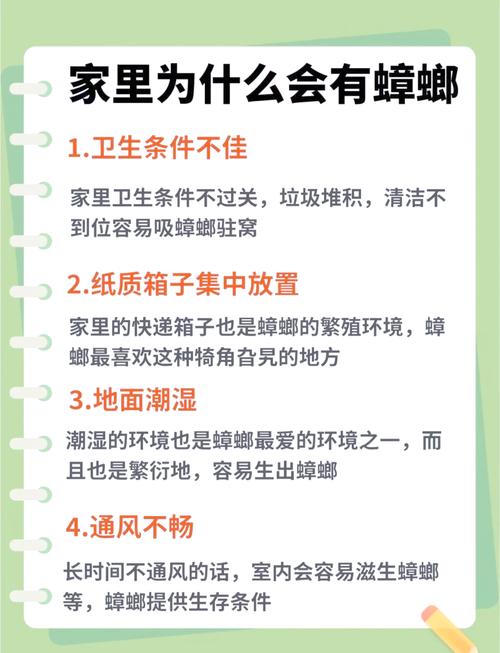 出租房蟑螂怎么办