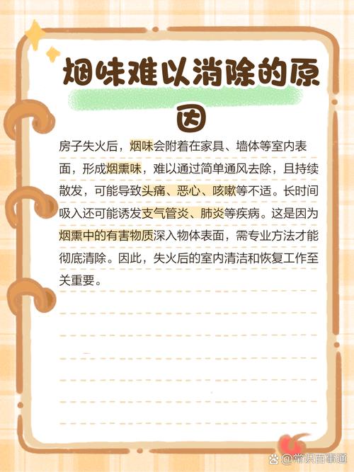 出租房有烟味怎么去除