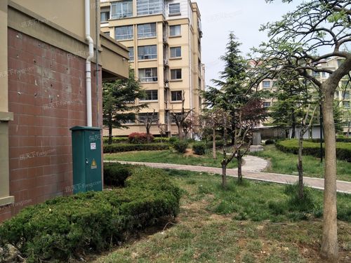 仁泰花园为何没人买
