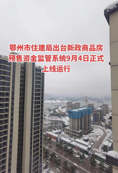 政府接管楼盘