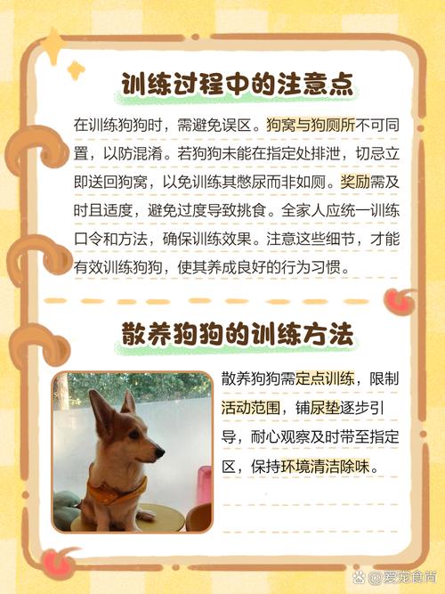 出租房养狗怎么拉屎