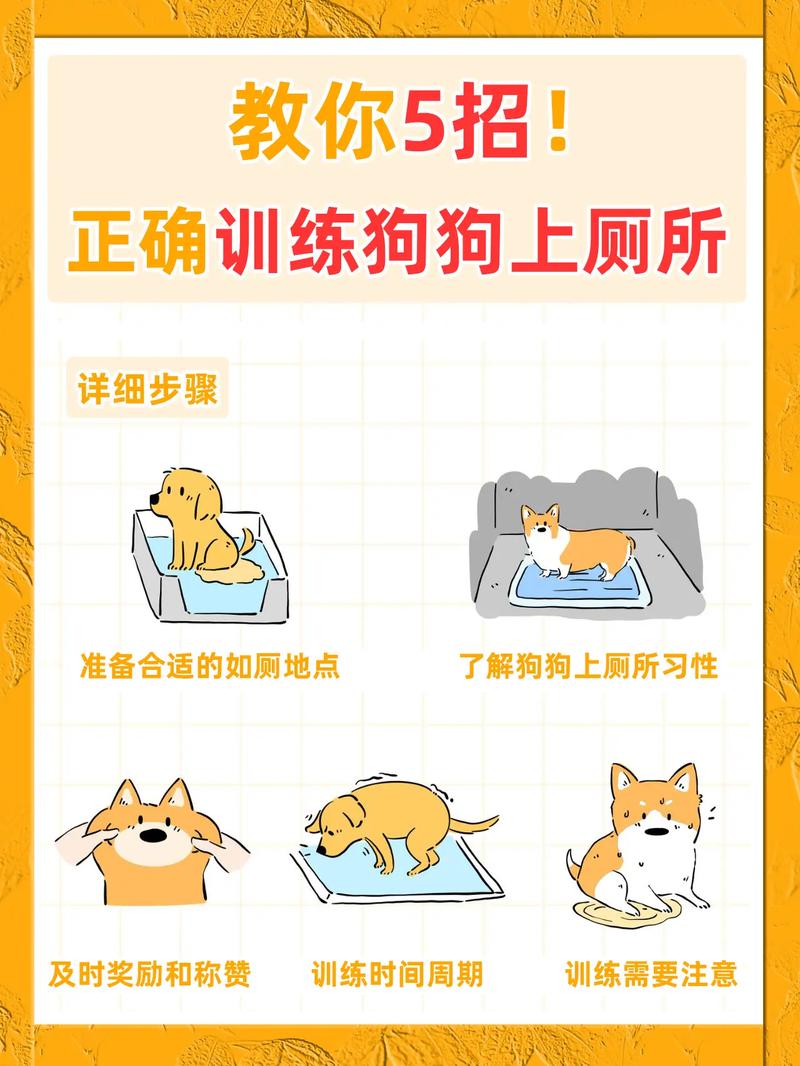 出租房养狗怎么拉屎