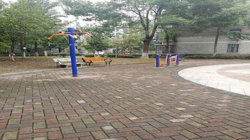 常青花园10小区