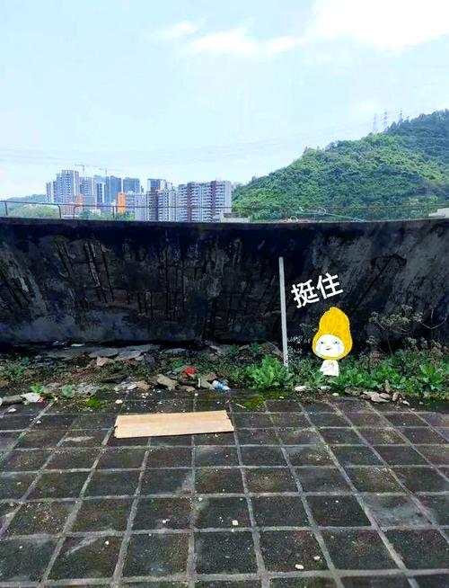月亮湾花园旧改立项