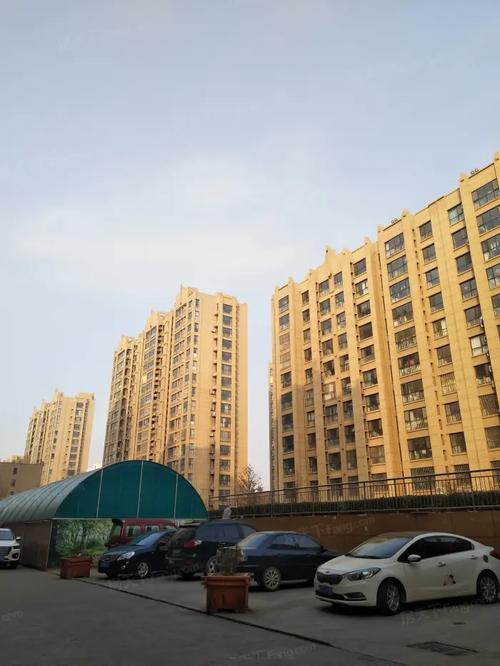 阜城新开楼盘