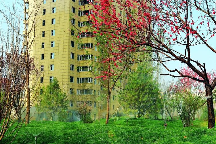 洪洞学府花园有现房吗