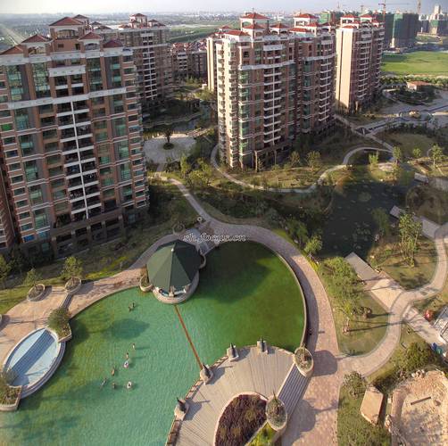 绿洲香岛花园业主论坛