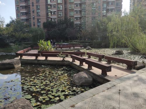 绿洲香岛花园业主论坛