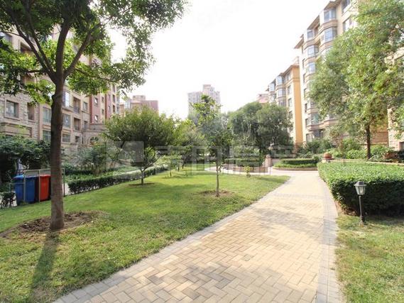 中海城圣朝菲房价